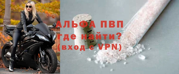 СК Инта