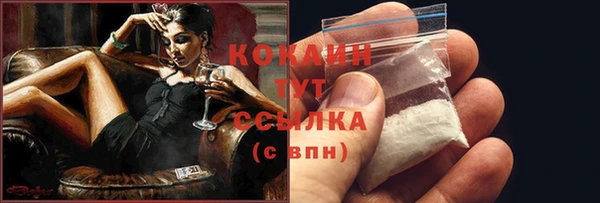 СК Инта