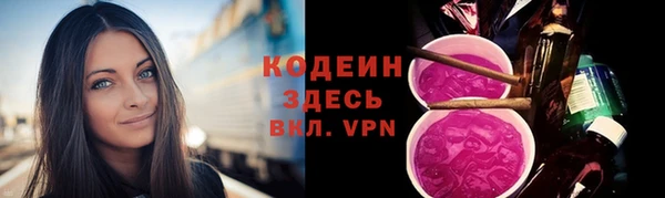 СК Инта