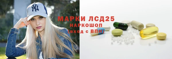 СК Инта