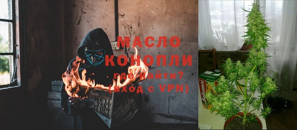 СК Инта