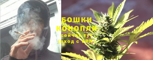 СК Инта